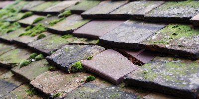 Shifnal roof repair costs